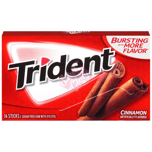 Trident Cinnamon 31g - Inner