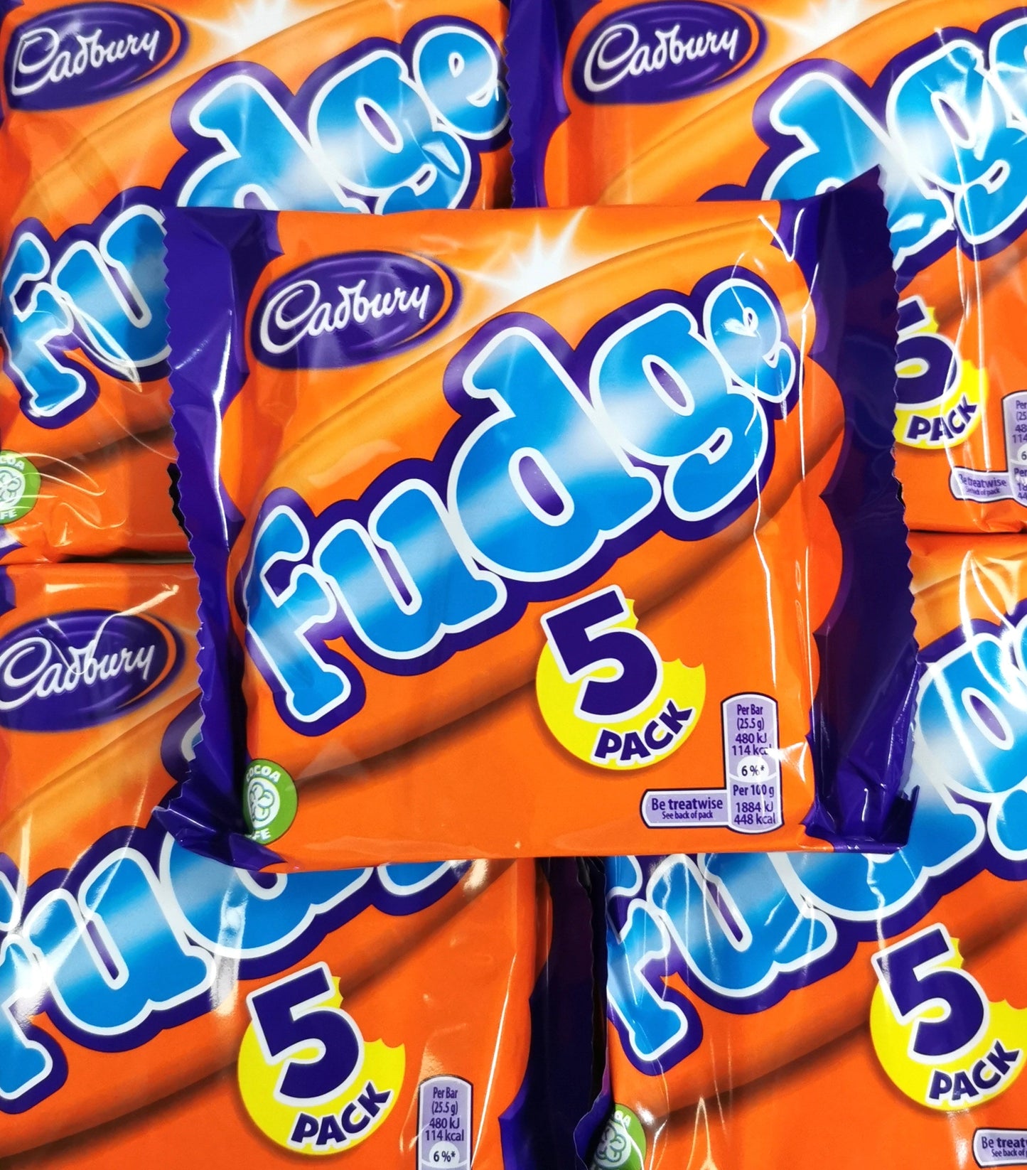 Cadbury Fudge 5 Pack x 20